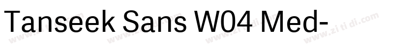 Tanseek Sans W04 Med字体转换
